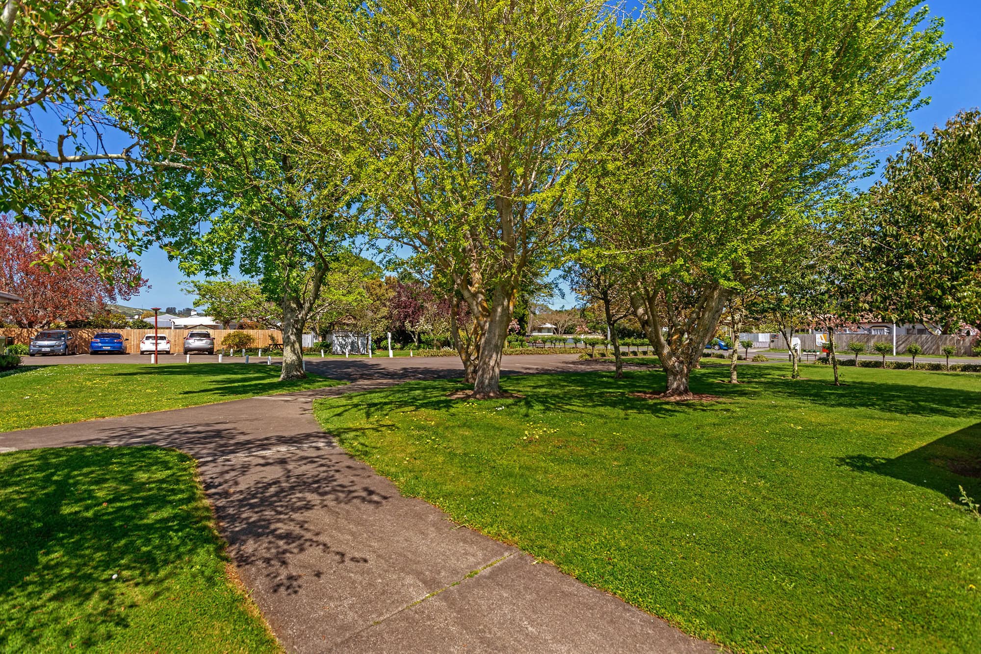 Dunblane Lifecare, Gisborne